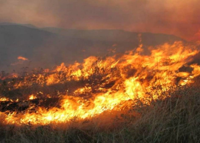 Λήψη μέτρων διασφάλισης της Δημόσιας Υγείας σε περίπτωση πυρκαγιών