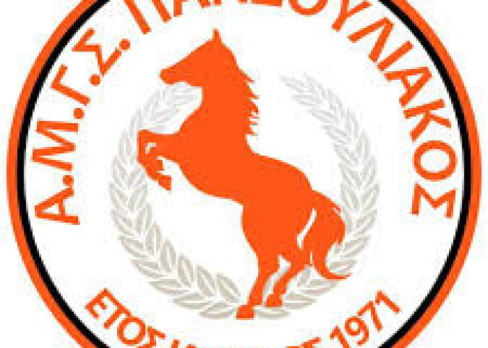 Στο νέο Διοικητικό Συμβούλιο του Πανσουλιακού, πρόεδρος ο Φάνης Δεδούσης
