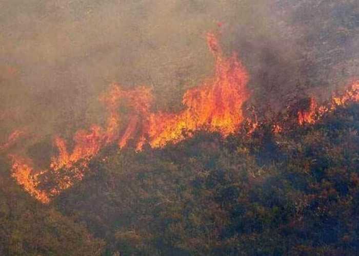 Η πρόληψη δασικών πυρκαγιών είναι υπόθεση όλων μας - Με το παραμικρό πάρτε τηλ στο 112