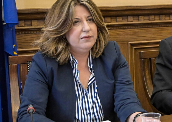 Ελένη Τριανταφύλλου: Σημαντικό το έργο της ΑΝΕΣΕΡ στο Νομό Σερρών