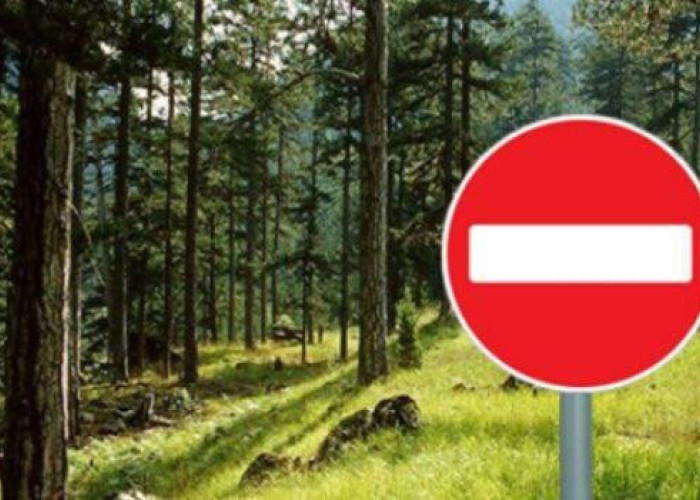 Απαγόρευση κυκλοφορίας στην περιοχή ευθύνης του Δασαρχείου Νιγρίτας