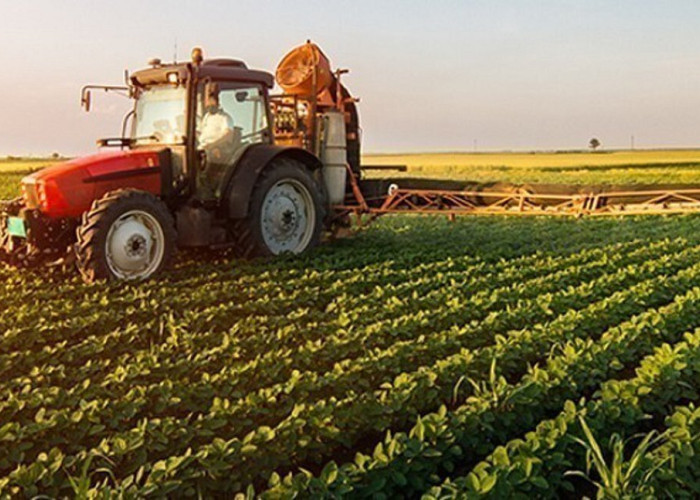 Από τον ΕΛΓΑ αποζημιώσεις 6,2 εκ. ευρώ σε παραγωγούς