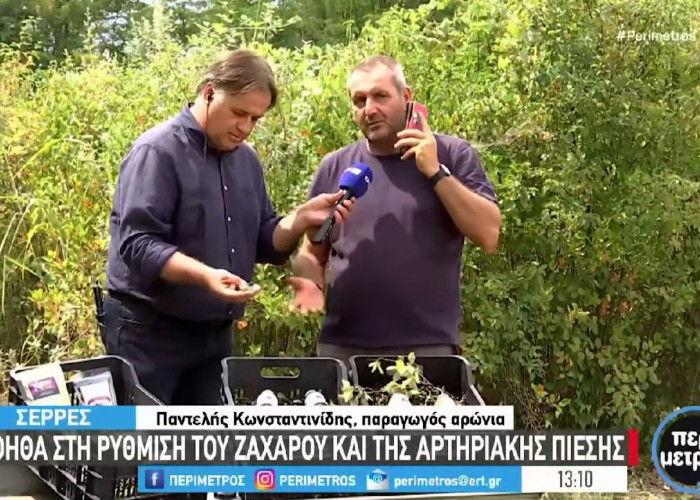 Αρώνια - Σέρρες : Το φυτό με τις ευεργετικές ιδιότητες στον ανθρώπινο οργανισμό
