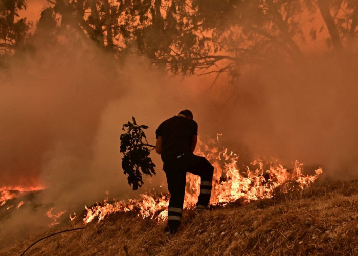 Χειροπέδες σε υπαλλήλους του ΔΕΔΔΗΕ για τη φωτιά στην Κερατέα - Αναζητείται διευθυντικό στέλεχος