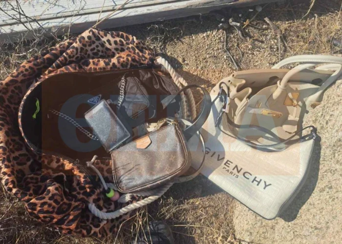 Η συμμορία με τις γουρούνες στη Μύκονο: Έθαβαν τα κλοπιμαία σαν τον Εσκομπάρ