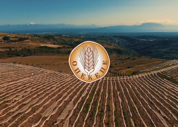 56.000 ευρώ τα πρώτα πρόστιμα σε φορείς πιστοποίησης βιολογικών προϊόντων