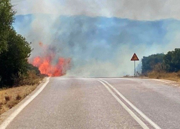 Υπό μερικό έλεγχο τέθηκε η πυρκαγιά στο Στρατώνι Χαλκιδικής