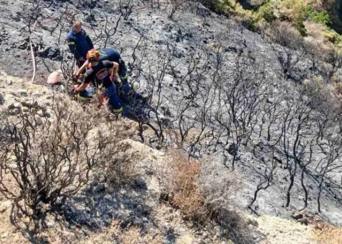 Πάτρα: Σοβαρό ατύχημα με πυροσβέστη που έπεσε σε χαράδρα στην περιοχή Μπάλα