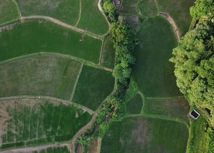 ΠΟΓΕΔΥ-Από τις εικονικές βοσκές στη "ψεύτικη ευφυΐα";