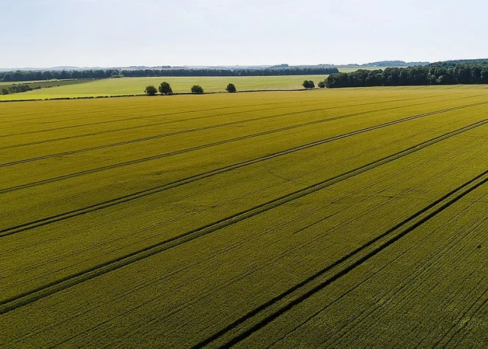 Από την ΑΑΔΕ έφοδος σε Κέντρο Υποδοχής Δηλώσεων ΟΣΔΕ