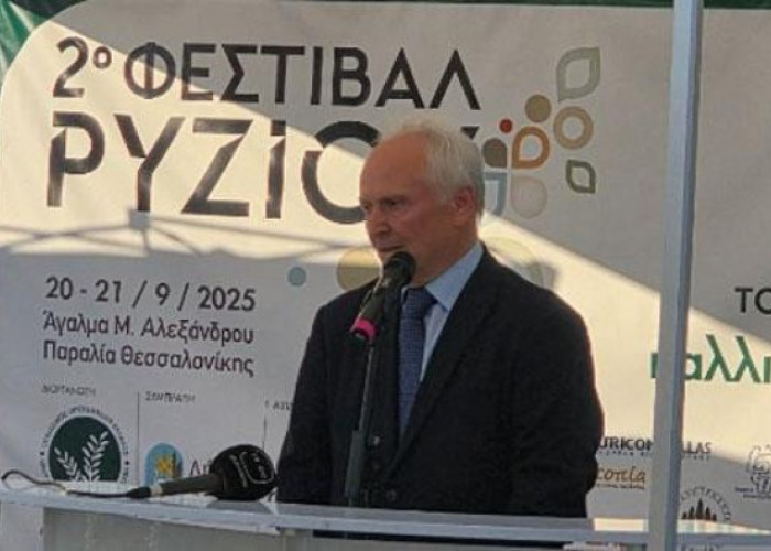 Στις στρατηγικές αποφάσεις για το μέλλον του ευρωπαϊκού ρυζιού. Η Ελλάδα διεκδικεί ρόλο πρωταγωνιστή