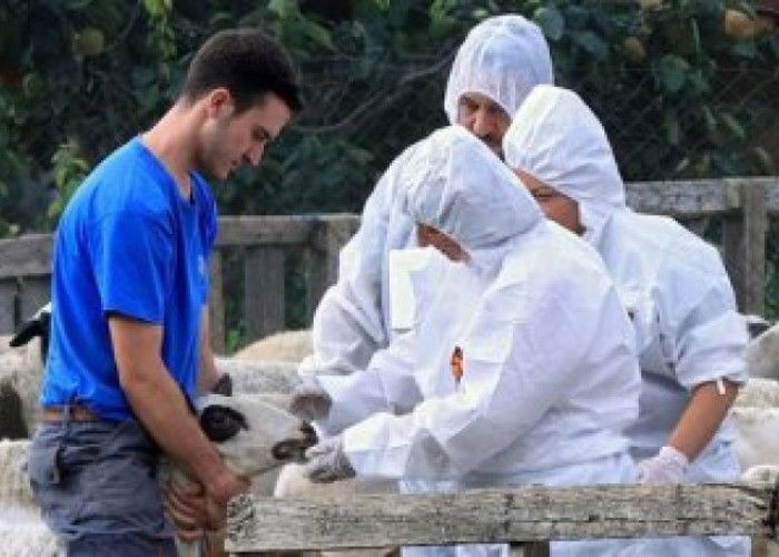 Επίδομα επικίνδυνης και ανθυγιεινής εργασίας για τους κτηνιάτρους των Περιφερειών