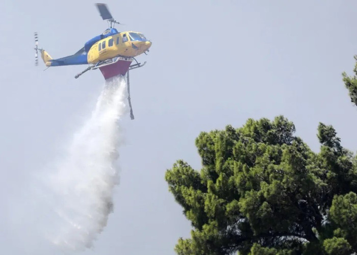 Φωτιά σε δασική έκταση στο Εξαμίλι στη Θεσσαλονίκη – Κινητοποιήθηκαν και δύο ελικόπτερα