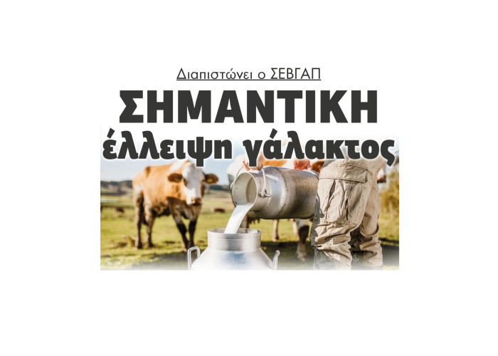 Διαπιστώνει ο ΣΕΒΓΑΠ σημαντική έλλειψη γάλακτος