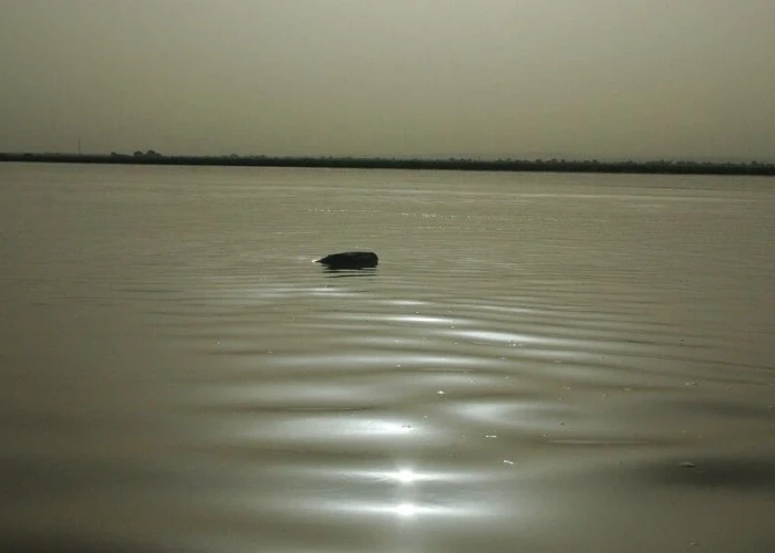 Νιγηρία: Τουλάχιστον 26 νεκροί από δυστύχημα με σκάφος στον ποταμό Νίγηρα