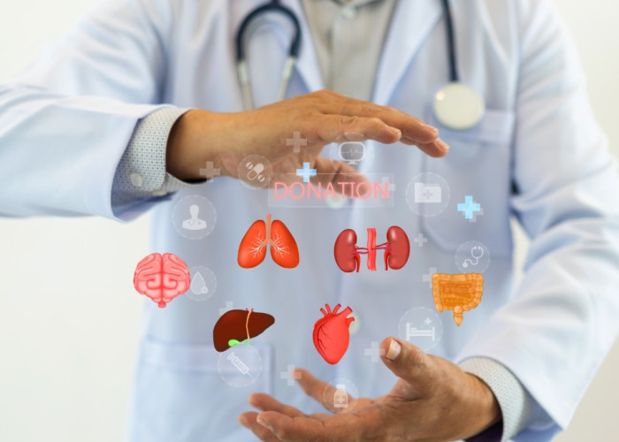 Ευρωπαϊκή Ημέρα Δωρεάς Οργάνων Ιστών και Κυττάρων