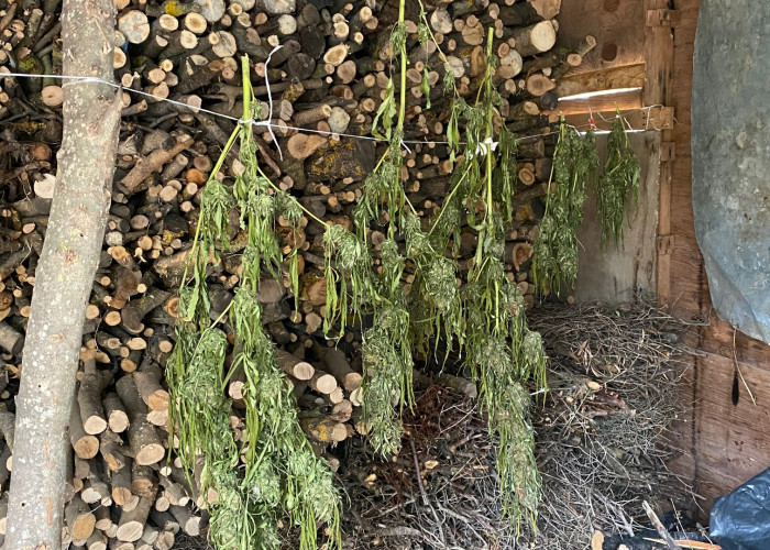 Θεσσαλονίκη: Συνελήφθησαν 3 άτομα για διακίνηση ναρκωτικών ουσιών