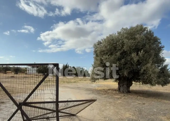 Άγρια συμπλοκή σε κρητικό γλέντι στη Μεταμόρφωση: Έβγαλαν μαχαίρια λόγω προτεραιότητας – Στο νοσοκομείο 4 άτομα