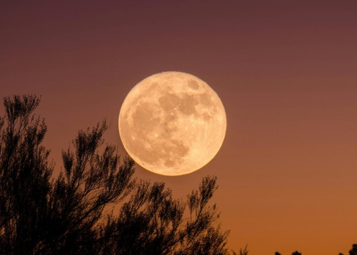 Νέα Σελήνη στις 21 Οκτωβρίου: Τα 3 ζώδια που θα επηρεαστούν περισσότερο και θα ανοίξουν νέα κεφάλαια στη ζωή τους