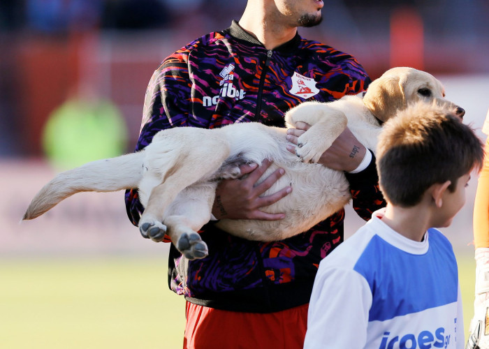 Ο Πανσερραϊκός μπήκε με σκύλους οδηγούς στην Παγκόσμια ημέρα ζώων!