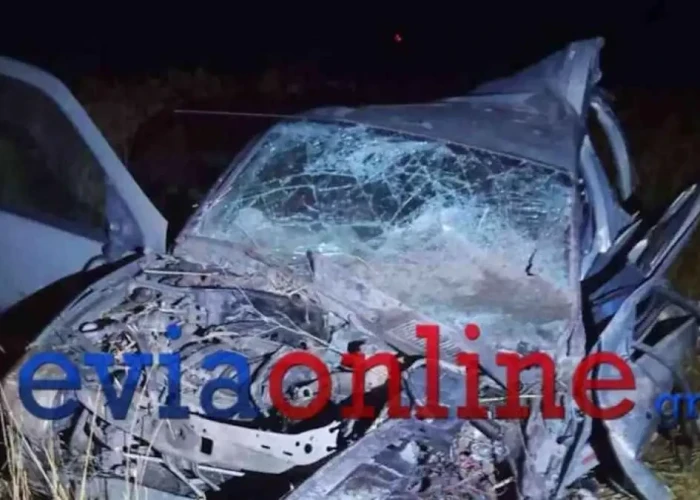 Εύβοια: Νεκρός 27χρονος σε τροχαίο δυστύχημα στην Κάρυστο – Έπεσε με το αυτοκινητό του σε κολώνα