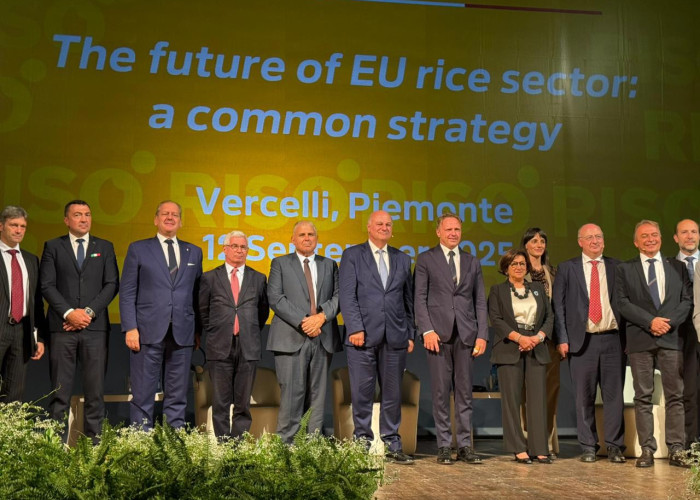 Το ευρωπαϊκό ρύζι οικολογικός θησαυρός και εμπορική ευκαιρία –της Ελλάδας