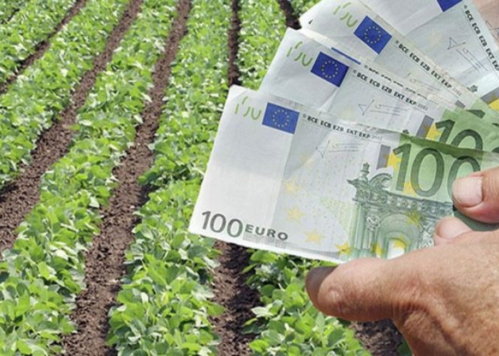 Οι πληρωμές στους αγρότες μόλις 363 εκατ. Ευρώ - 45.000 αγρότες δεν πήραν την επιδότηση