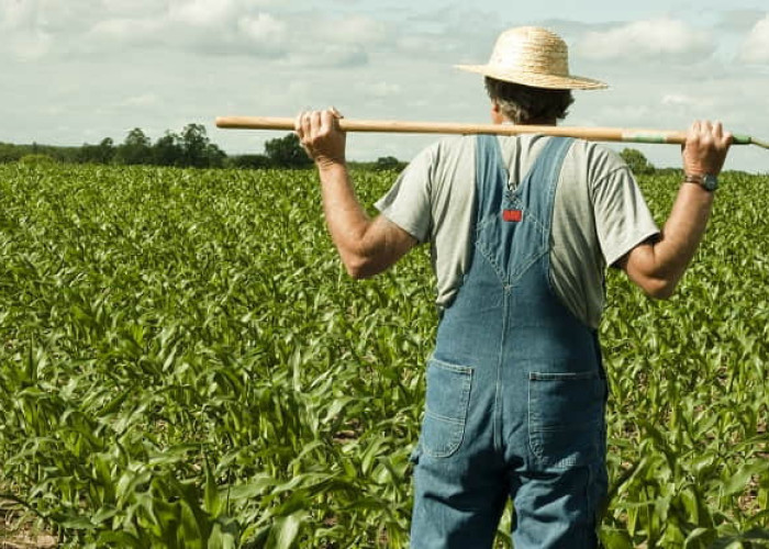ΥΠΑΑΤ- Νέα ενισχυμένη στήριξη των κτηνοτρόφων με 50% αύξηση της αποζημίωσης για ζωοτροφές