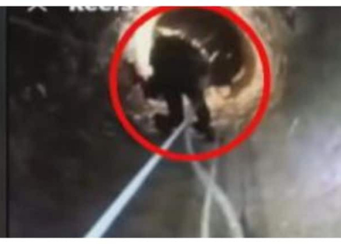 Λακωνία: 13χρονη έπεσε σε πηγάδι με νερό 5 μέτρων – Απεγκλωβίστηκε από εθελοντές πυροσβέστες