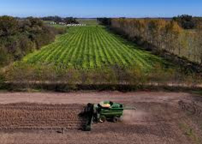 Από τον ΟΠΕΚΕΠΕ - Ένα δισεκατομμύριο έχουν να παίρνουν αγρότες