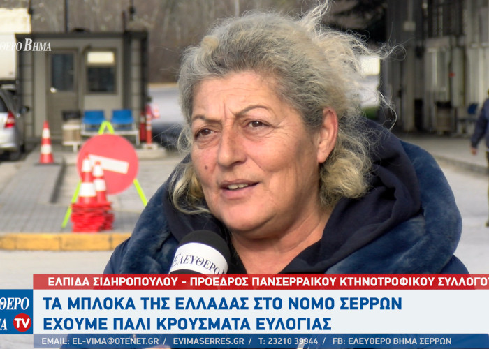 Ελπίδα Σιδηροπούλου: Τα μπλόκα της Ελλάδας στο Νομό Σερρών - Έχουμε πάλι κρούσματα ευλογιάς