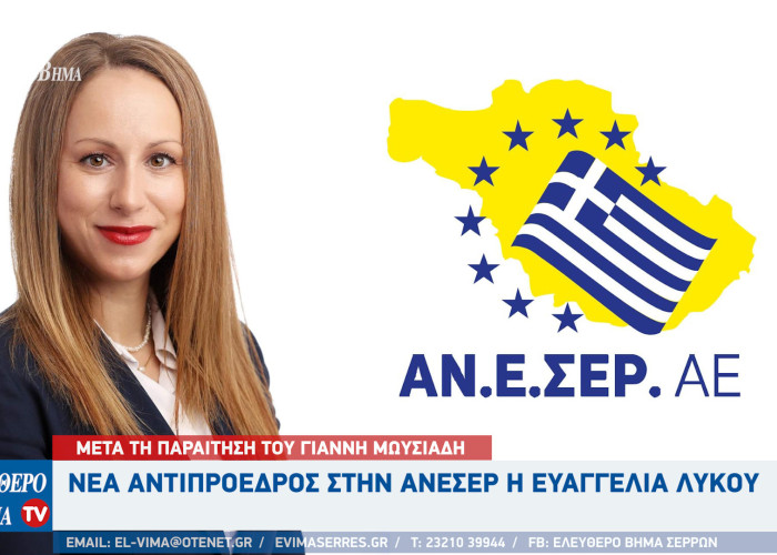 ΑΝΕΣΕΡ: Νέα Αντιπρόεδρος η Ευαγγελία Λύκου μετά την παραίτηση του Γιάννη Μωυσιάδη