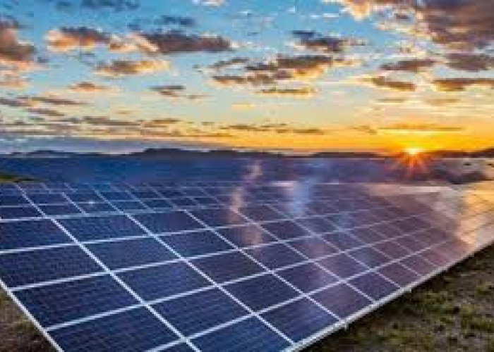 Διανομή εντύπου εταιρείας που επιδιώκει εγκατάσταση Φ/Β πάρκου στην Κορμίστα