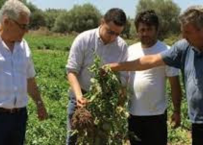 ΠΕΓΔΥ: Οι Γεωπόνοι δεν εκφοβίζονται