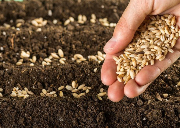 ΕΛΓΟ-ΔΗΜΗΤΡΑ- Nέο κεφάλαιο στην παραγωγή πολλαπλασιαστικού υλικού οπωροφόρων δένδρων στην Ελλάδα