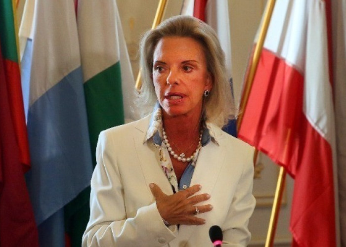 Ελίζα Βόζεμπεργκ- Άμυνα και ασφάλεια, ιστορική πρόκληση για την Ευρωπαϊκή Ένωση