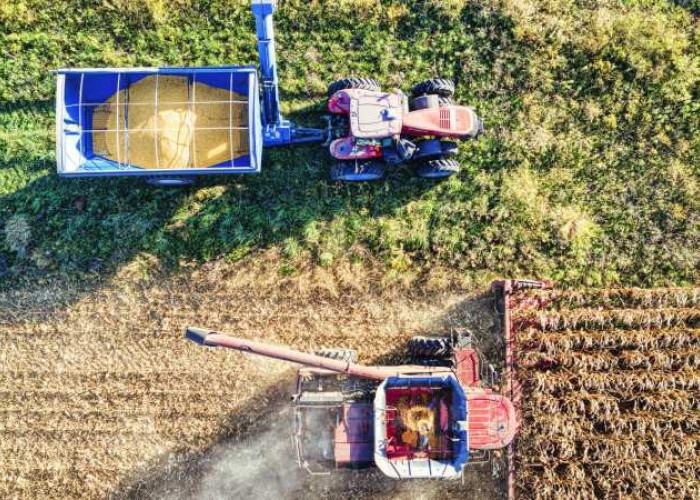 260 εκατ. ευρώ για Σχέδια Βελτίωσης από το Υπουργείο Αγροτικής Ανάπτυξης και Τροφίμων