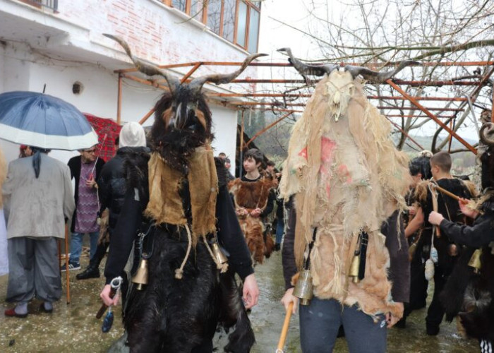 Σέρρες - Το Βαμβακόφυτο θα υποδεχθεί τα Μπαμπούγερα