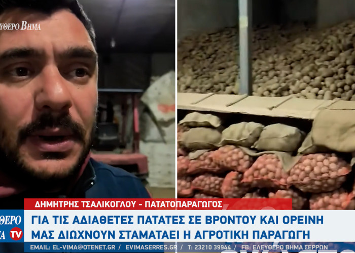 Ο Δημήτρης Τσαλίκογλου για τις αδιάθετες πατάτες σε Βροντού και Ορεινή Σερρών: Μας διώχνουν σταματάει η αγροτική παραγωγή