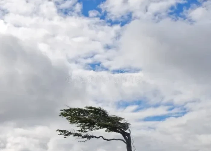 Δήμος Σερρών: Προειδοποίηση και οδηγίες για ισχυρούς και θυελλώδεις ανέμους στην περιοχή