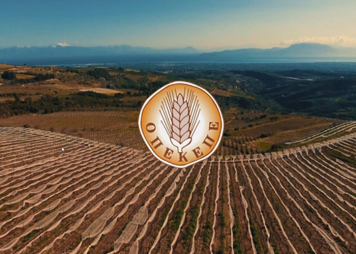 Διευκρινίσεις του ΟΠΕΚΕΠΕ για τη διαδικασία ενστάσεων για τα αγροτεμάχια χωρίς ΚΑΕΚ και το Μέτρο 23