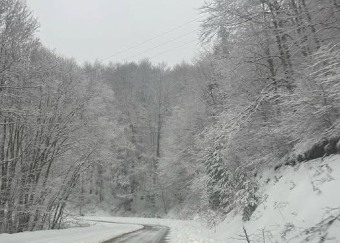 Λαϊλιάς: Σε «κλοιό» χιονιά το βουνό – Πρόωρο κλείσιμο για το Χιονοδρομικό και οδηγίες προς τους οδηγούς