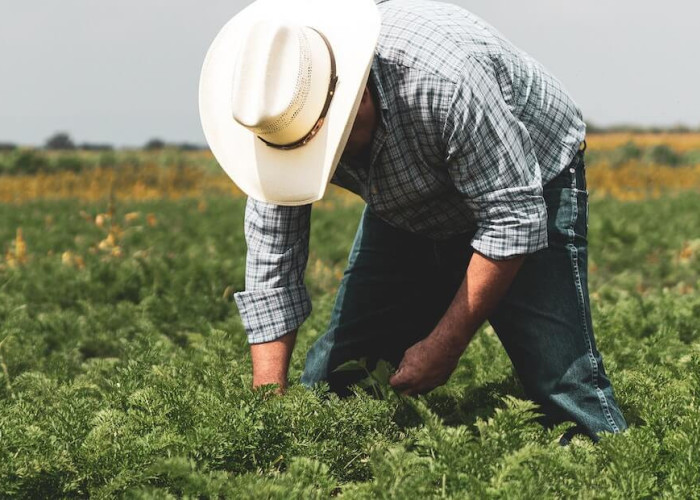 ΠΟΓΕΔΥ- Όταν η έρευνα προχωρά, η διαφάνεια οφείλει να προηγείται