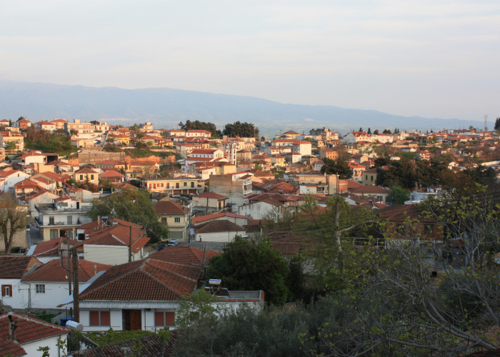 Πολιτιστικός Σύλλογος Γυναικών Νέας Ζίχνης: Ας στηρίξουμε ΕΠΙΤΕΛΟΥΣ και τη  Νεα Ζίχνη!