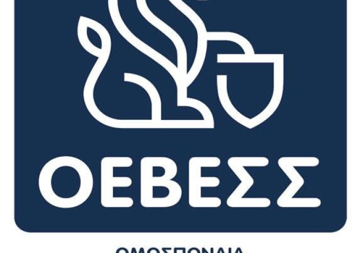 Παραίτηση Βασίλη Μαντζαρούδη από το ΔΣ της ΟΕΒΕΣΣ