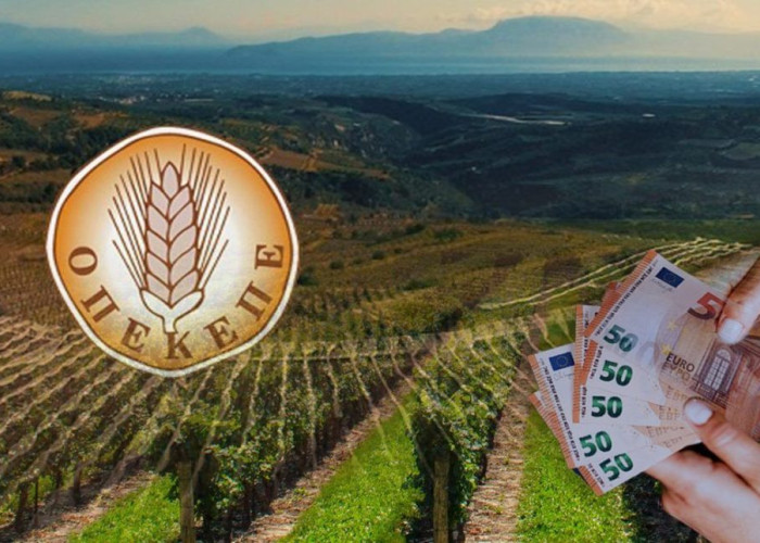 Σέρρες – Για την περίοδο 2016-2018 έπαιρναν παράνομες επιδοτήσεις από τον ΟΠΕΚΕΠΕ -Επέστρεψαν τα χρήματα και πήραν ποινική διαπραγμάτευση!