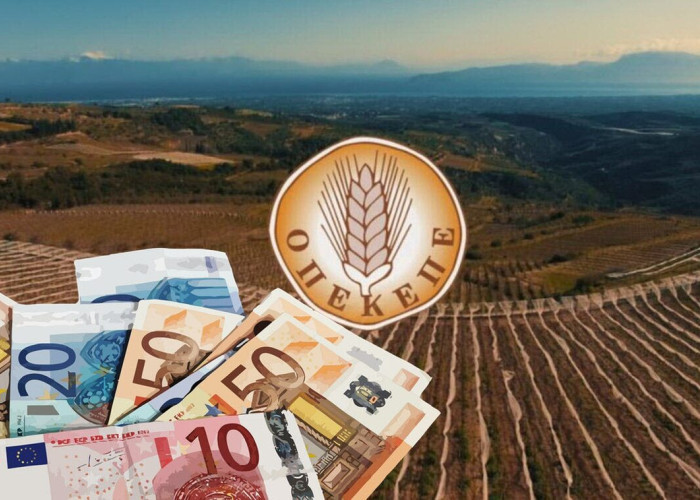 Νίκος Σφελινιώτης - Σέρρες-Φιάσκο πληρωμών από τον ΟΠΕΚΕΠΕ