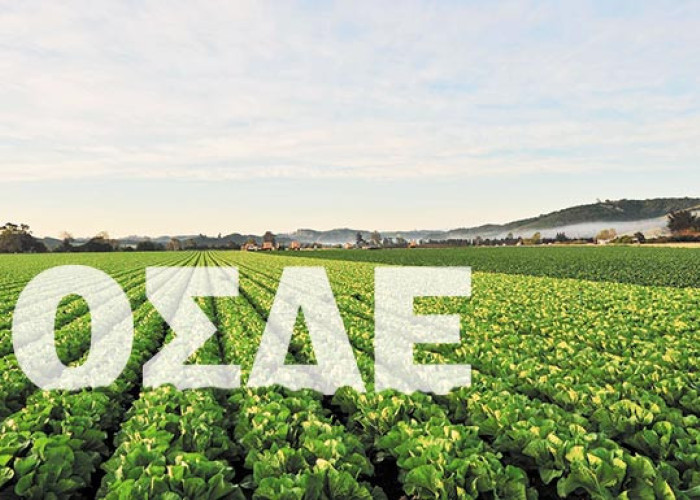 Για διορθώσεις σφαλμάτων άνοιξε ξανά το ΟΣΔΕ στους αγρότες