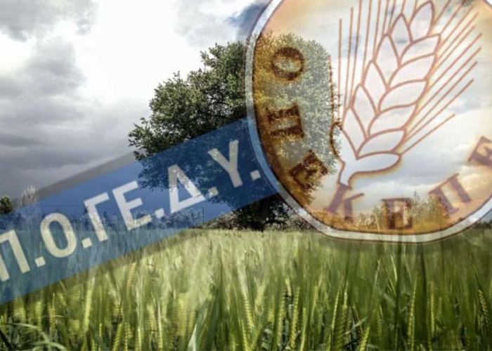 ΠΟΓΕΔΥ: Η πολιτική ηγεσία διαλύει τις Υπηρεσίες