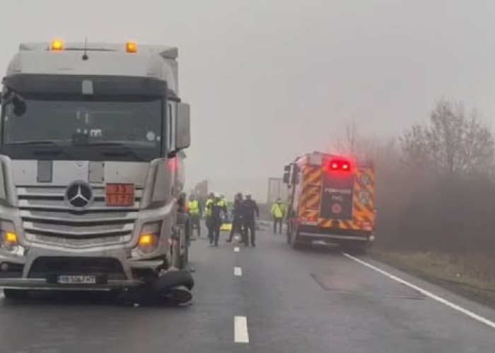 Ασύλληπτη τραγωδία με 7 νεκρούς οπαδούς του ΠΑΟΚ στη Ρουμανία
